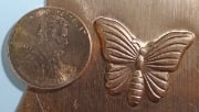 Picture of Impression Die Moth