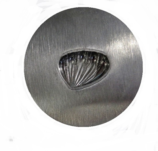 Picture of Impression Die Fluted Shell