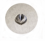 Picture of Impression Die Palm Frond