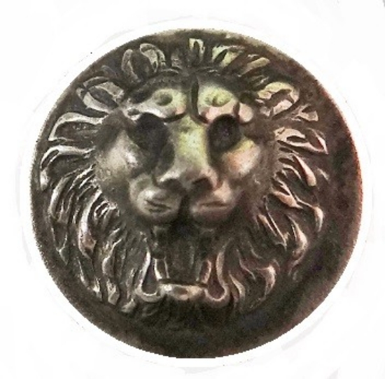 Picture of Leo the Lion