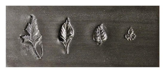 Picture of *Master Broken* Impression Plate: Leaves