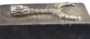 Picture of Impression Die Bird Claw