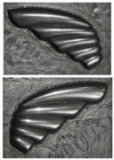 Picture of Impression Die Short Simple Wing Set