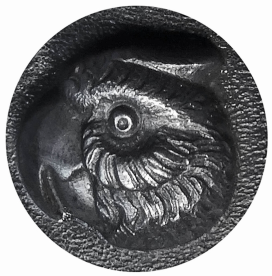 Picture of Impression Die Curious Parrot's Stare