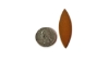 Picture of Pancake Die 627B Small Pointed Leaf