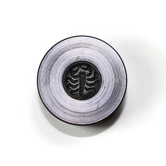 Picture of Zodiac Button Silver Stamping Set