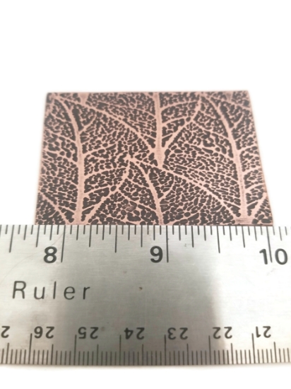 Picture of Pattern Plate RMP079 Wide Skeleton Leaves