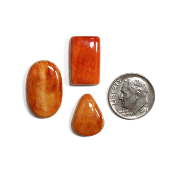 Picture of Spiny Oyster Gem Lot 9