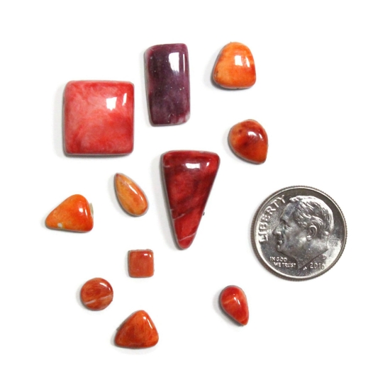 Picture of Spiny Oyster Gem Lot 18