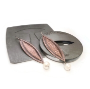 Picture of Pancake & Silhouette Die Bundle: Medium Pointed Leaf