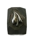 Picture of Impression Die Shot Plate Breuning Leaves