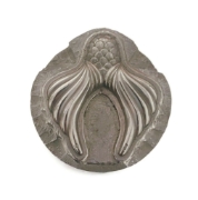 Picture of Impression Die Mermaid Tail Hoop