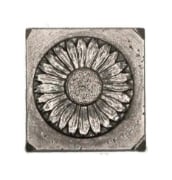 Picture of Impression Die Sunny Smile Sunflower