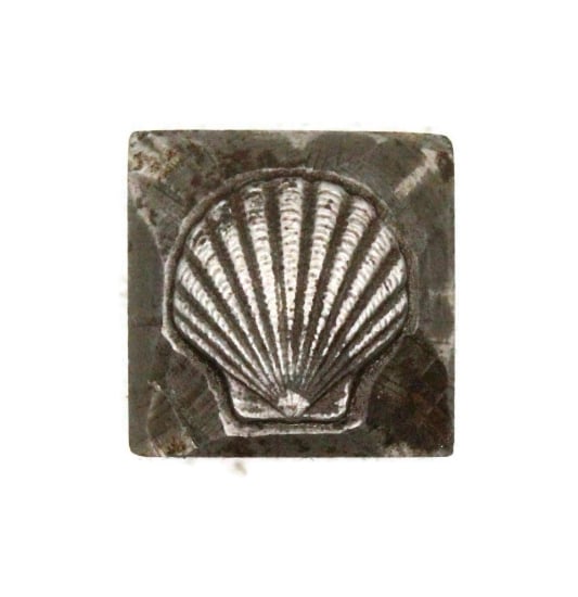 Picture of Impression Die Little Textured Shell
