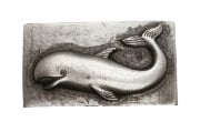 Picture of Impression Die The White Whale