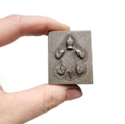 Picture of Impression Die Build-a-Turtle Bezel