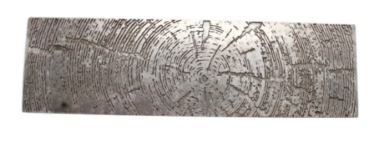 Picture of Pattern Plate RMP207 Tree Rings