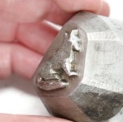 Picture of Impression Die Shy Fox