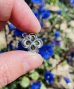 Picture of Impression Die Clover Flower
