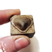 Picture of Impression Die Clam Shell
