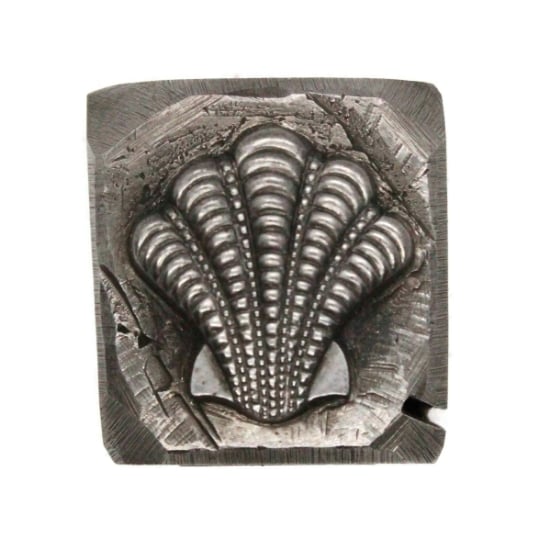 Picture of Impression Die Ridged Shell