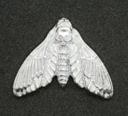 Picture of Impression Die Death's Head Hawkmoth