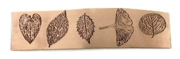 Show details for Pattern Plate RMP296 Skeleton Leaves 2 Picture of Pattern Plate RMP296 Skeleton Leaves 2