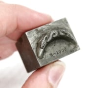 Picture of Impression Die Snake on the Moon