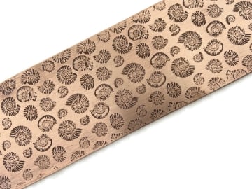 Show details for Pattern Plate RMP303 Ammonites Picture of Pattern Plate RMP303 Ammonites