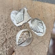 Picture of Impression Die Fan Accent Shot Plate