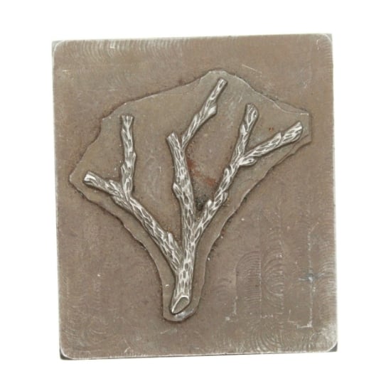 Picture of Impression Die Craggy Branches
