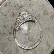 Picture of Impression Die Spring Ring Half