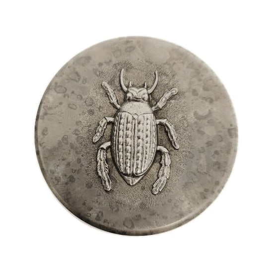 Picture of Impression Die Feather-Footed Beetle
