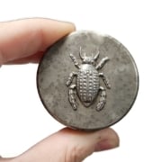 Picture of Impression Die Feather-Footed Beetle