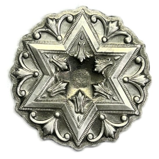 Picture of Sterling Silver Stamping "Detailed Paris Star"