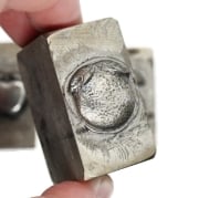 Picture of Impression Die Fresh Fruits Shot Plate