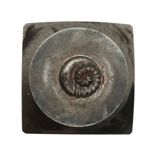 Picture of Impression Die Sort-of Nautilus
