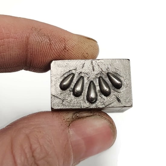 Picture of Impression Die Tiny Teardrops Burst
