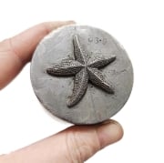 Picture of Impression Die Realistic Starfish