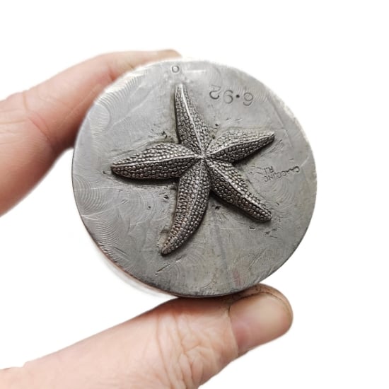 Picture of Impression Die Realistic Starfish