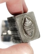 Picture of Impression Die Sea Tails Shot Plate