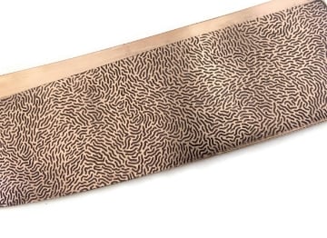 Show details for Pattern Plate RMP369 Wormy Picture of Pattern Plate RMP369 Wormy