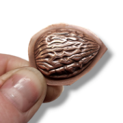 Picture of Impression Die Oh, Nuts!