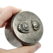 Picture of Impression Die Ammonite