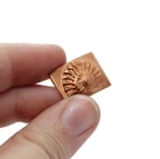Picture of Impression Die Ammonite