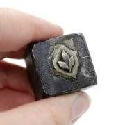 Picture of Impression Die Best Leaves Shot Plate