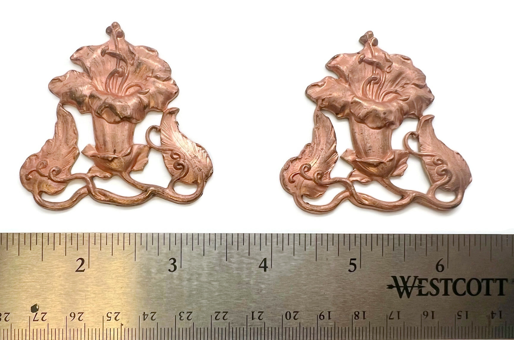 Potter USA Fine Tools. Trumpet Flower and Vine Janvier Brass