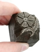 Picture of Impression Die Mountain Flower