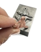 Picture of Impression Die Beaver Beaver