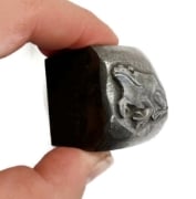 Picture of Impression Die Robert the Frog